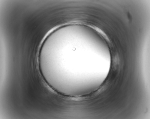 X0000086061288200704091221