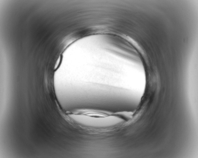 X0000086061289200704091221