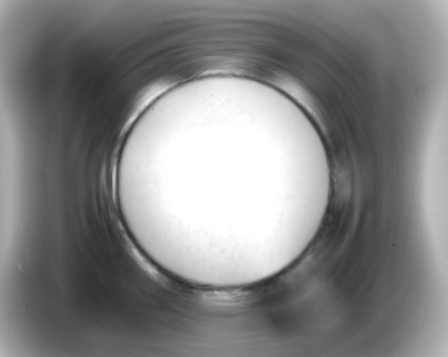 X0000086061290200704091221