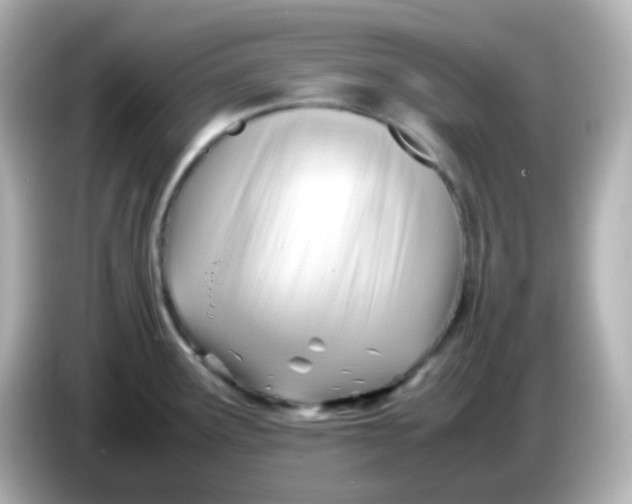 X0000086061291200704091221