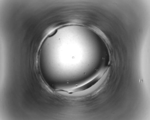 X0000086061292200704091221