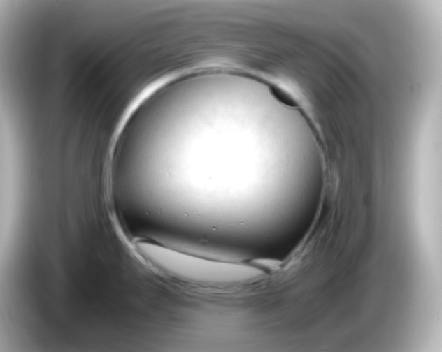 X0000086061295200704091221