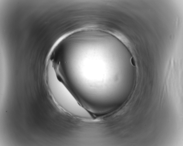 X0000086061296200704091221