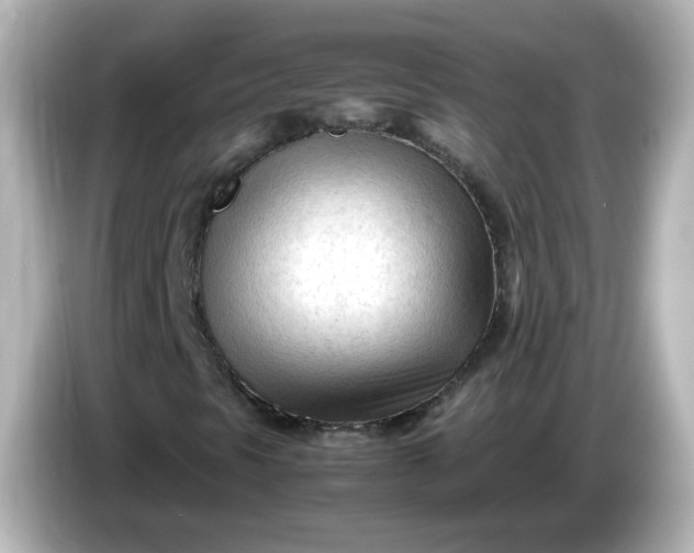 X0000086061297200704091220