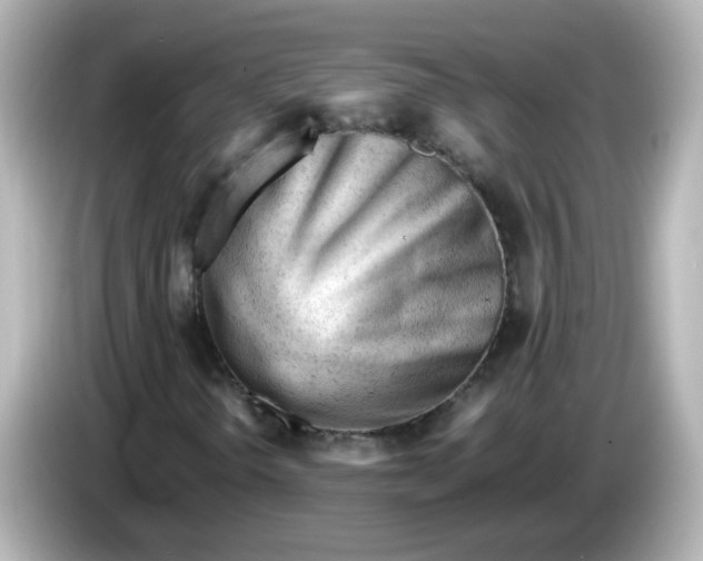 X0000086061298200704091220