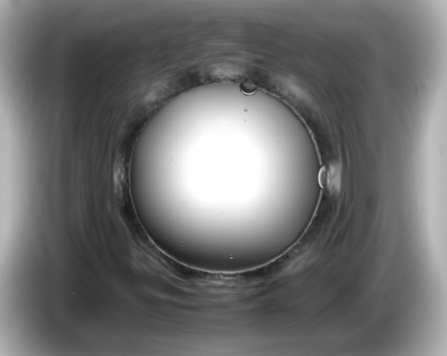 X0000086061299200704091220