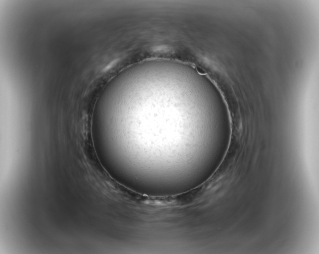 X0000086061301200704091220