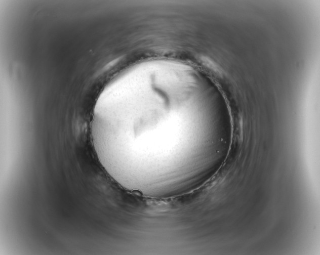 X0000086061302200704091220