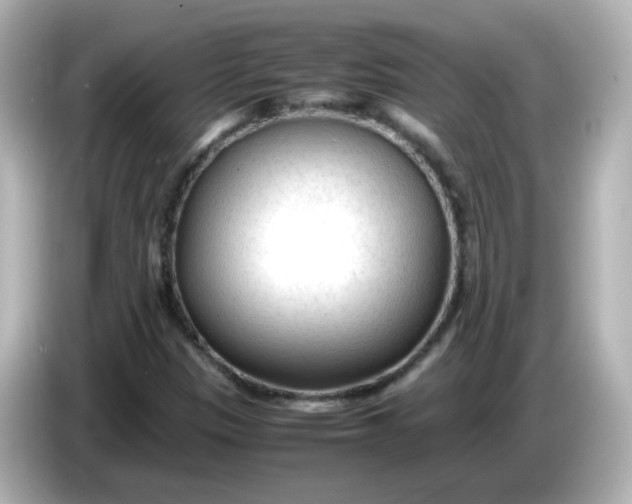 X0000086061305200704091220