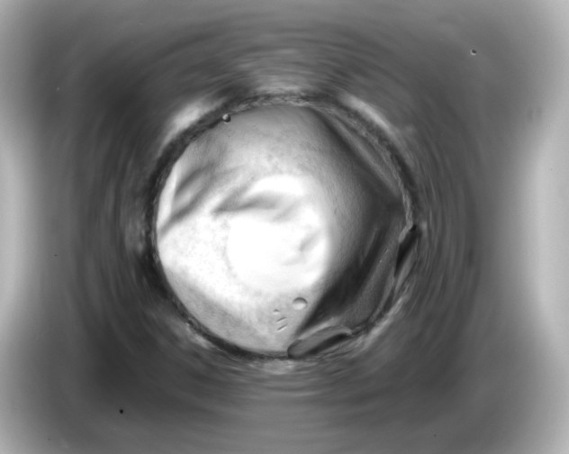 X0000086061306200704091220