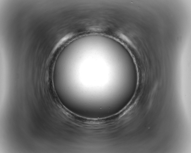 X0000086061307200704091220