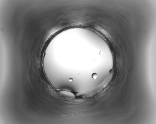 X0000086061308200704091220