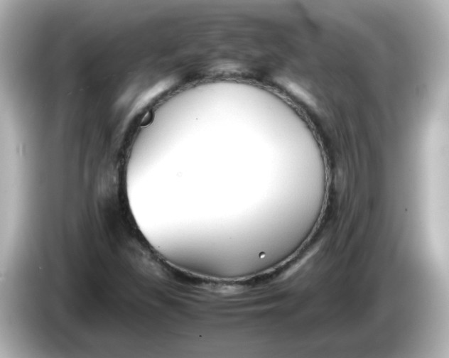 X0000086061309200704091220