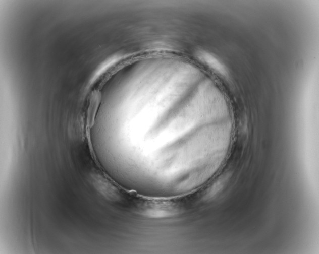 X0000086061310200704091220