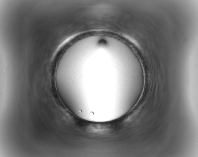 X0000086061311200704091220