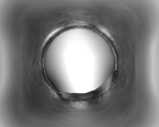 X0000086061312200704091220