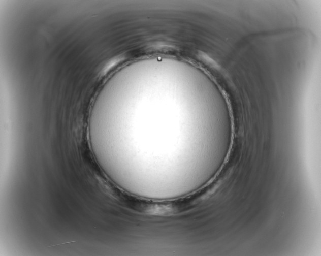 X0000086061313200704091220