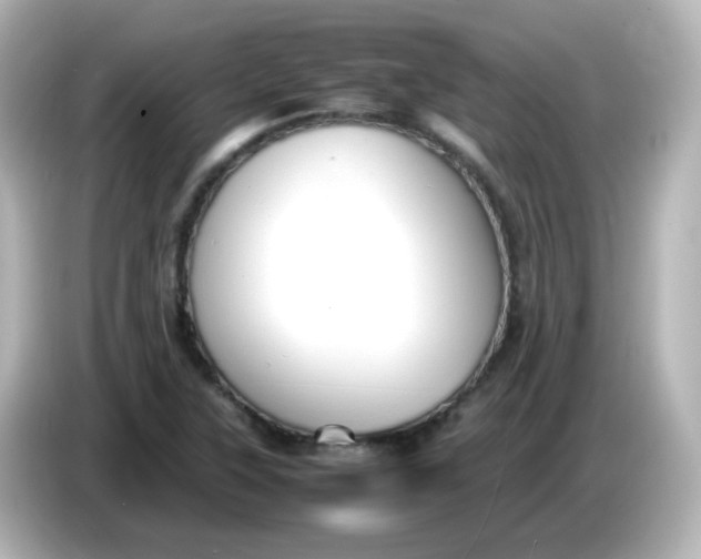 X0000086061315200704091220