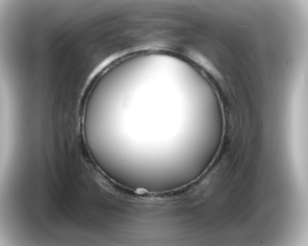 X0000086061316200704091220