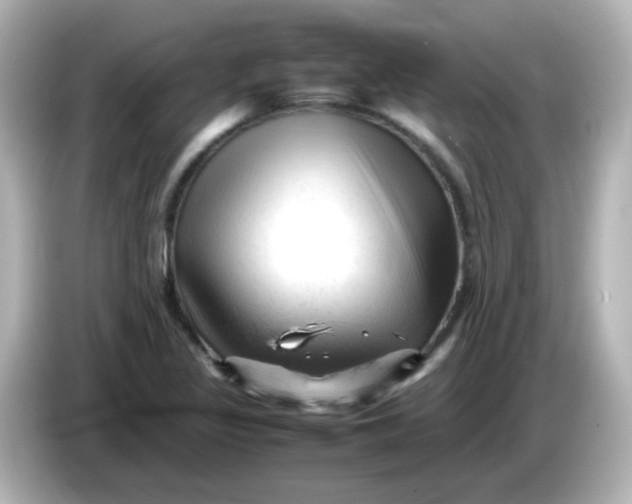 X0000086061317200704091220