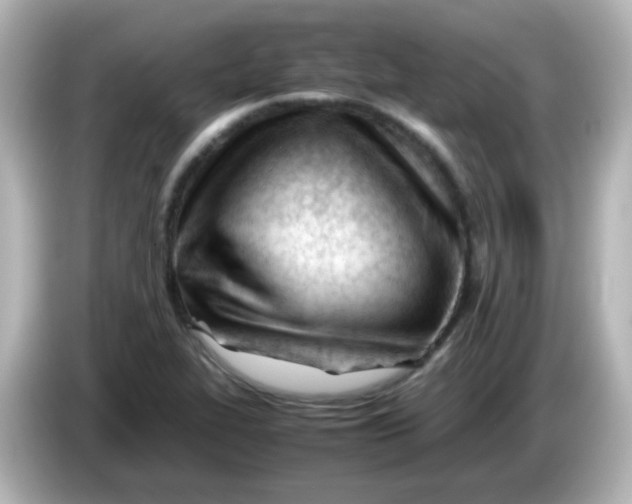 X0000086061319200704091220