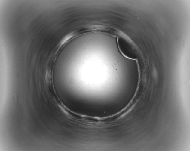 X0000086061321200704091220