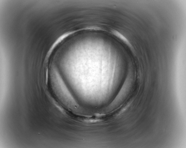 X0000086061323200704091221