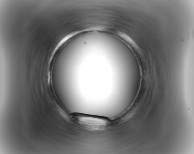 X0000086061324200704091221