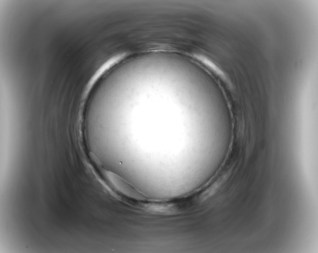 X0000086061325200704091221