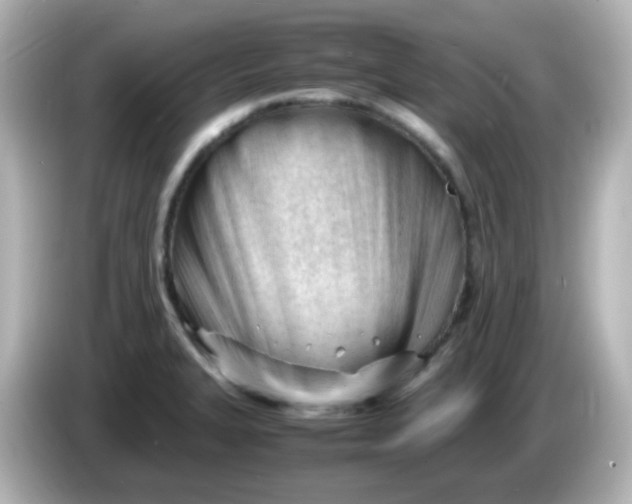 X0000086061327200704091221