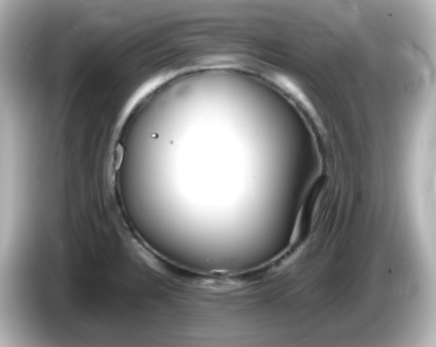 X0000086061328200704091221