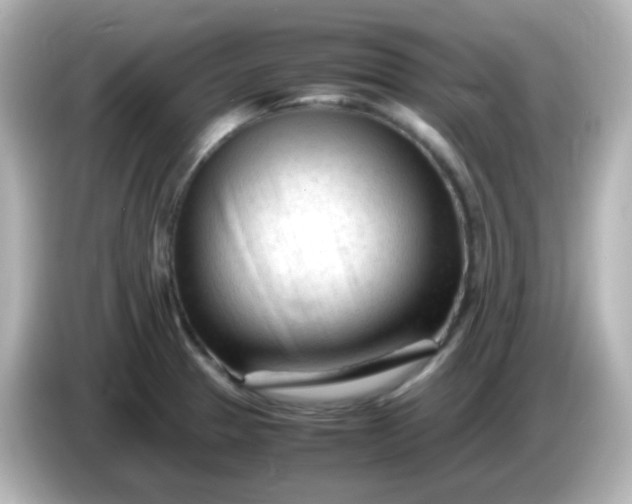 X0000086061329200704091221