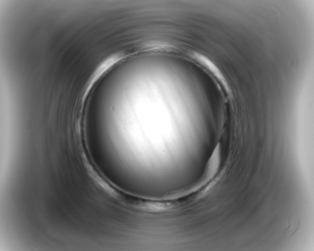 X0000086061330200704091221