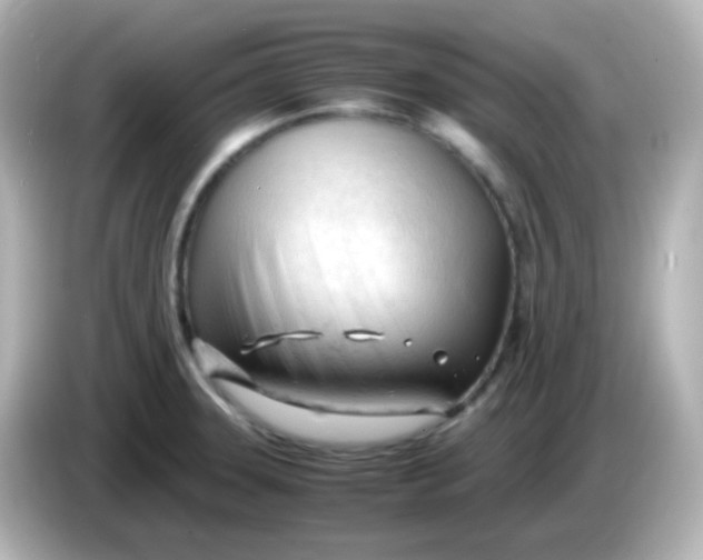 X0000086061331200704091221