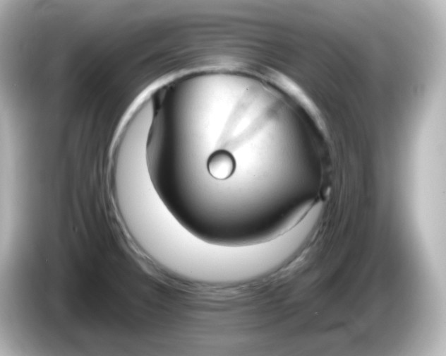 X0000086061332200704091221