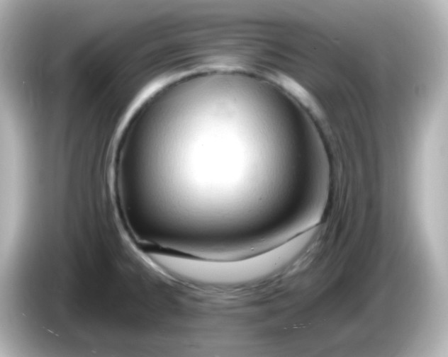 X0000086061334200704091221