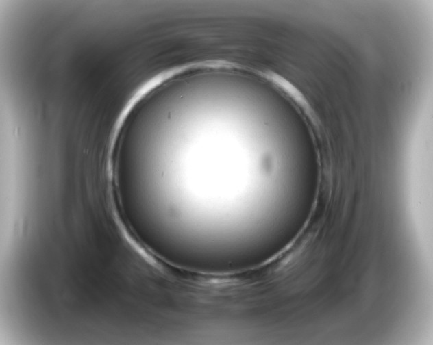 X0000086061335200704091221