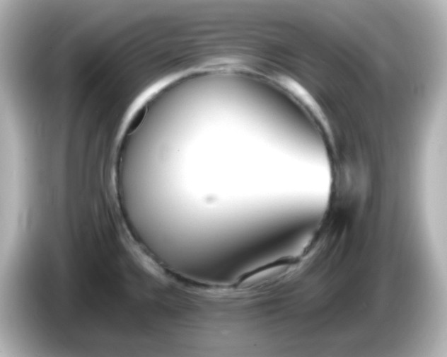 X0000086061336200704091221