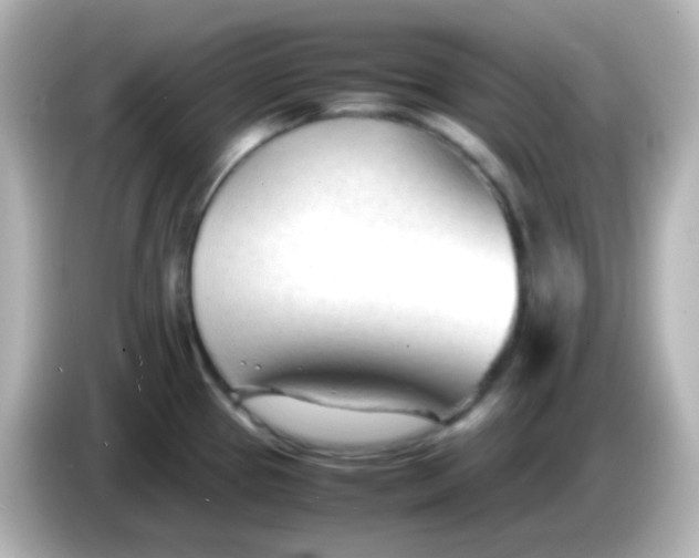 X0000086061337200704091221