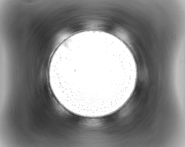 X0000086061338200704091221