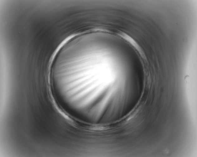 X0000086061339200704091221