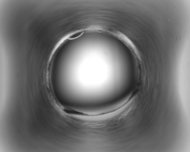 X0000086061340200704091221