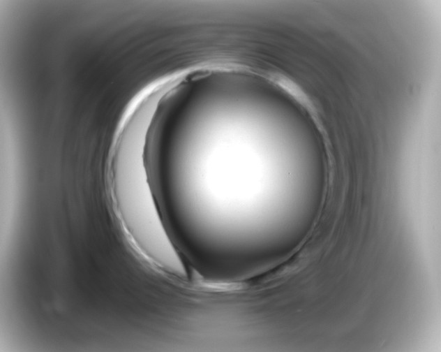 X0000086061344200704091221