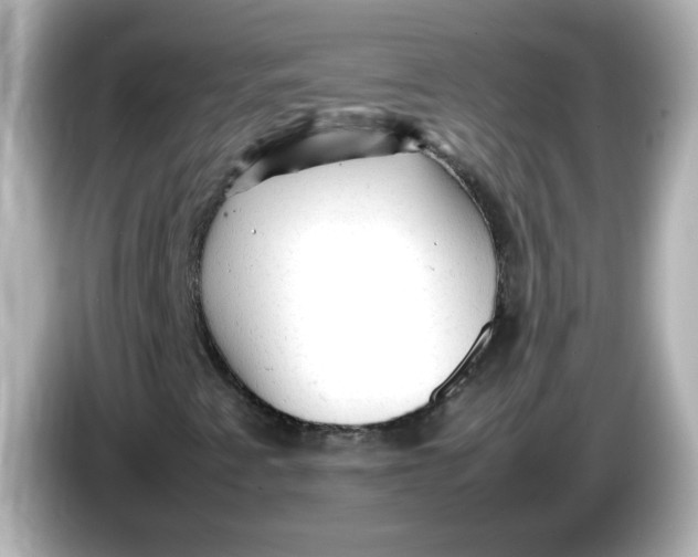 X0000086061345200704091220