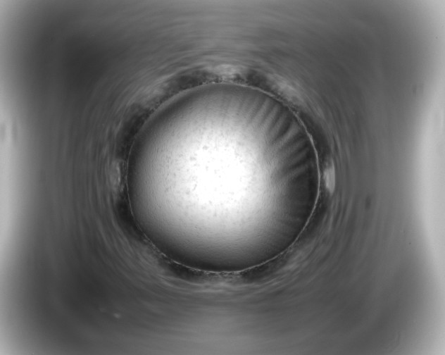 X0000086061347200704091220