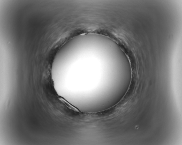 X0000086061349200704091220