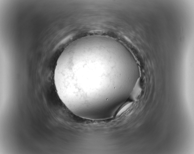 X0000086061351200704091220