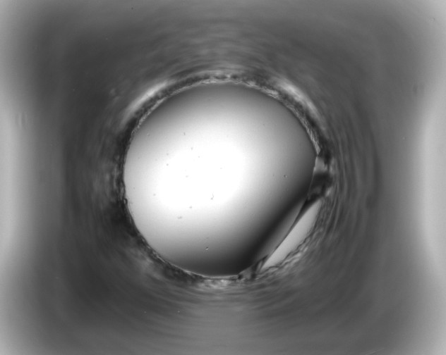 X0000086061352200704091220