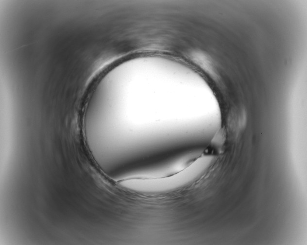 X0000086061356200704091220