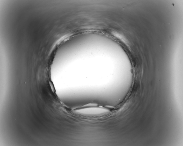 X0000086061357200704091220